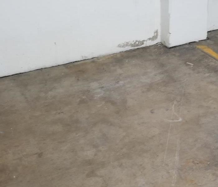 This the same concrete floor with no mold on it. 