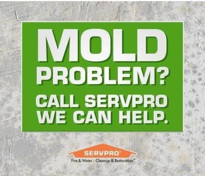 text: "Mold Problems? Call SERVPRO. We can help."